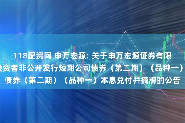 118配资网 申万宏源: 关于申万宏源证券有限公司2025年面向专业投资者非公开发行短期公司债券（第二期）（品种一）本息兑付并摘牌的公告